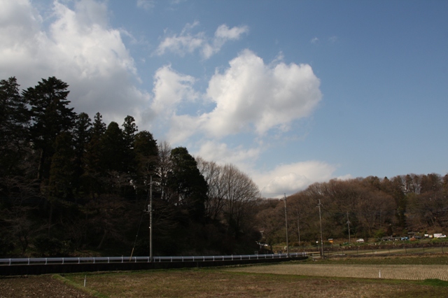 ふるさと村の花たち_e0117950_239226.jpg