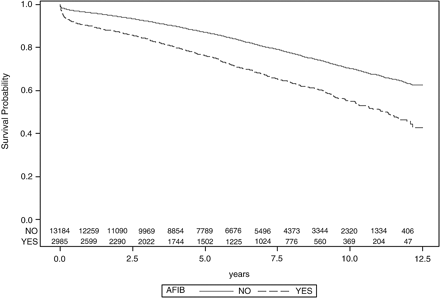 冠動脈バイパス手術後の心房細動は、生存率に影響を与える_a0119856_1464265.gif