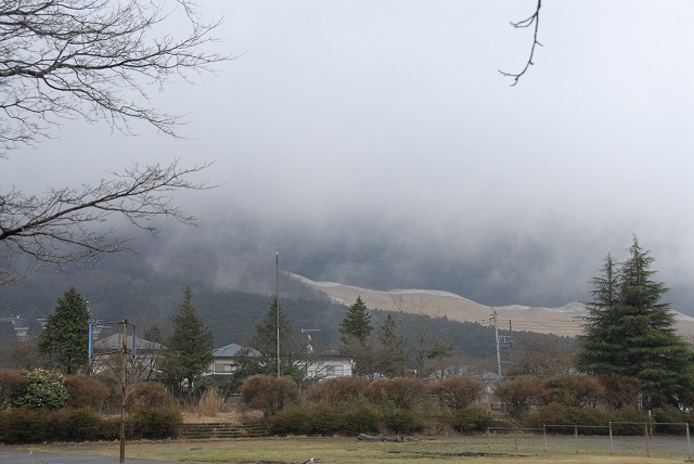 b0181457_20455240.jpg