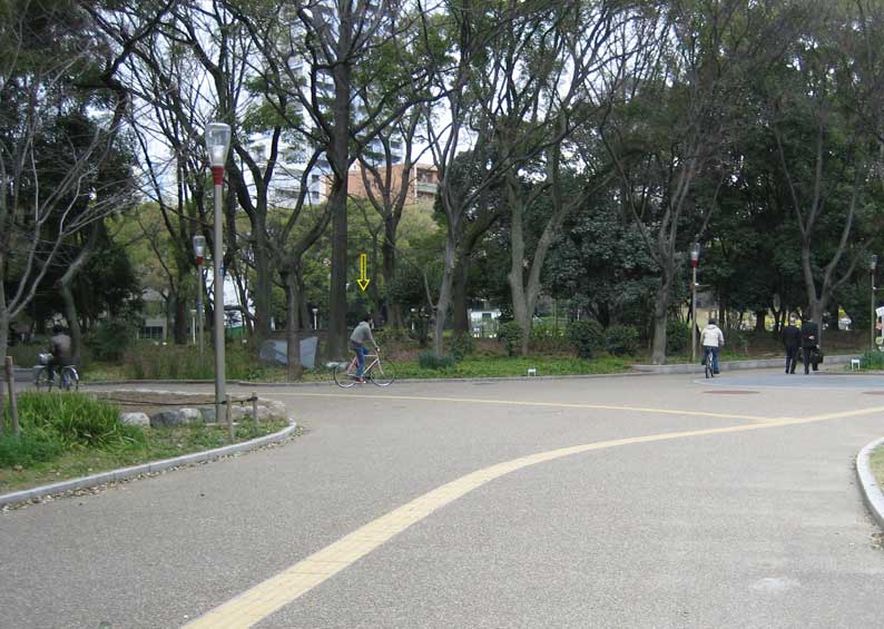 b0057679_858698.jpg