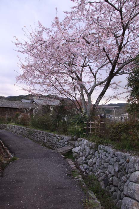 c0177785_19154290.jpg