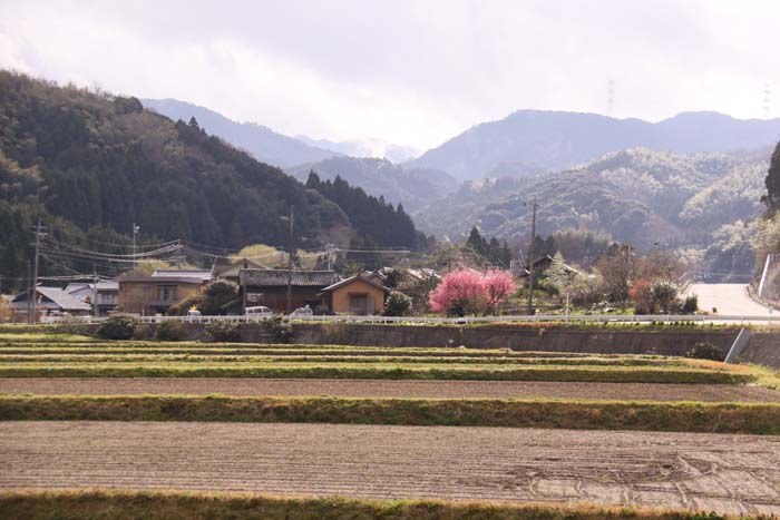 c0177785_1925519.jpg