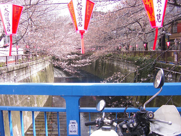 東京モーターサイクルショー　2010  _f0137496_1538046.jpg