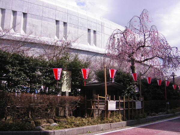 f0137496_1539393.jpg
