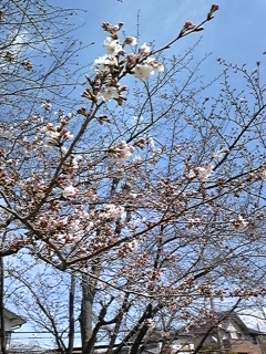 f0017897_17281121.jpg