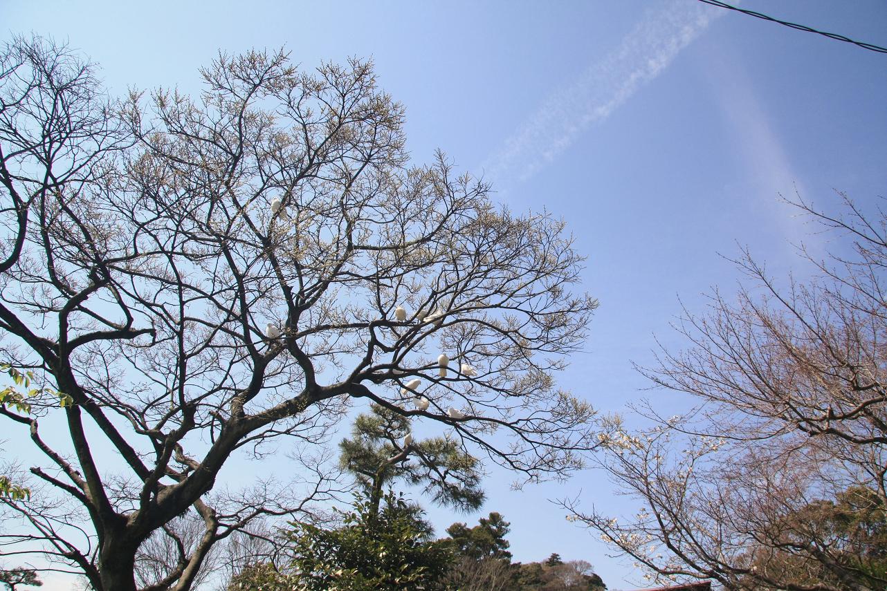 f0034602_19462820.jpg