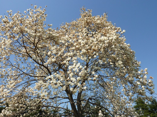 e0018604_20362243.jpg