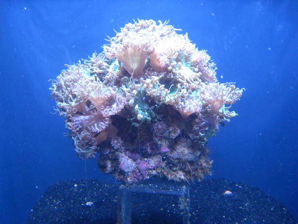 c0049105_3361710.jpg