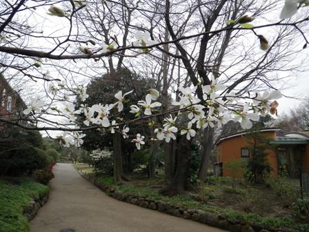 花盛り_b0049307_10271170.jpg