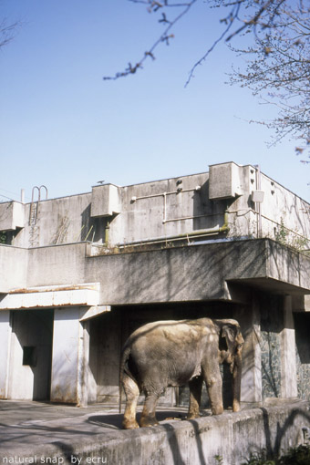 井の頭動物園_d0114409_22592448.jpg