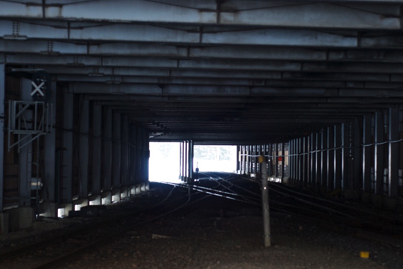 c0153411_8453536.jpg