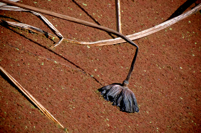 b0130112_11455965.jpg