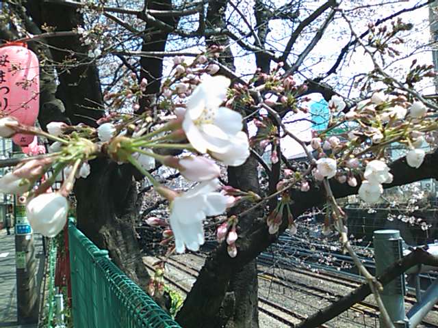 f0181317_20595973.jpg
