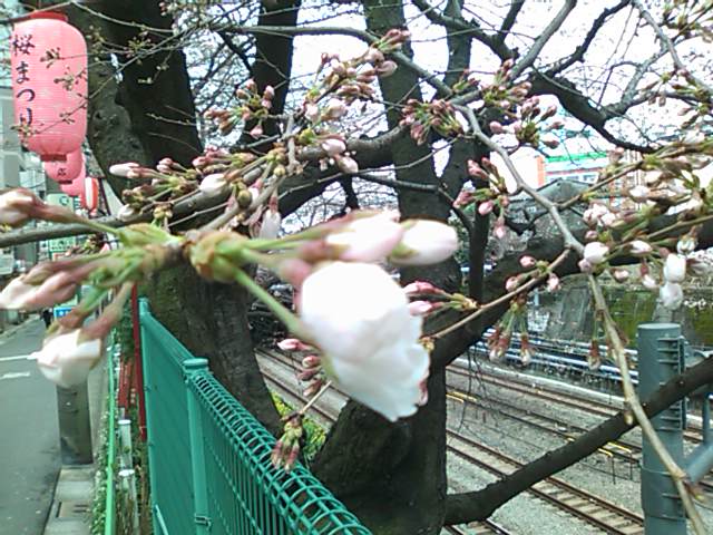 f0181317_254334.jpg
