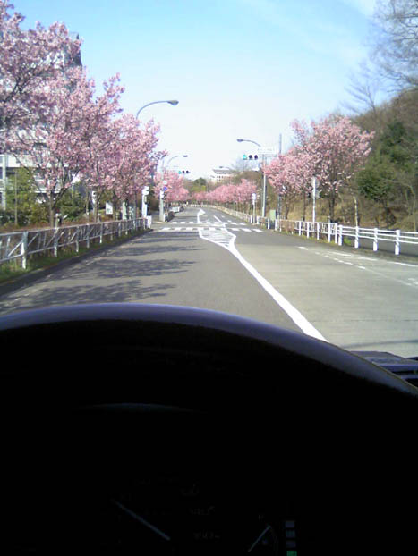 c0083518_16252430.jpg