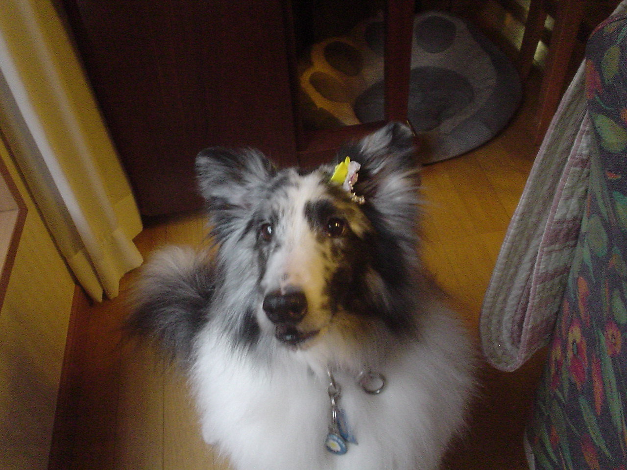 c0150520_22965.jpg