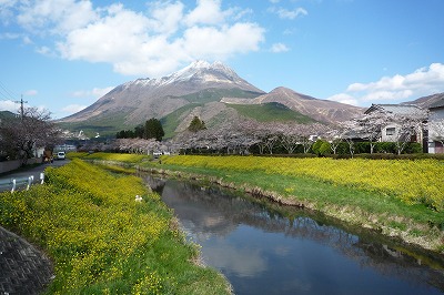 f0190020_8391769.jpg