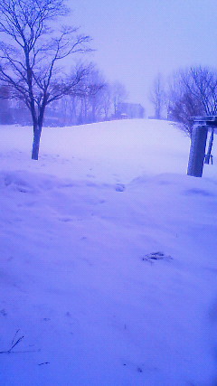 f0018926_20222734.jpg
