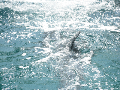 b0176027_23143755.gif