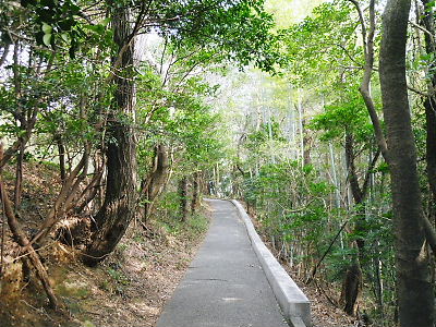 小学校までの散歩での桜_c0143330_17112174.jpg