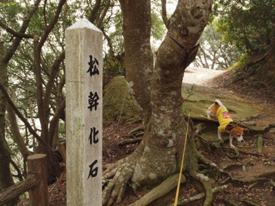 c0119142_6583710.jpg