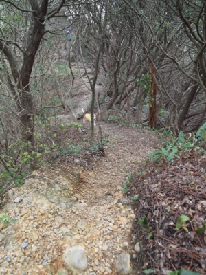 c0119142_7205189.jpg