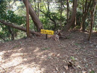 小富士山～愛宕山～大坂山_b0168843_15564266.jpg