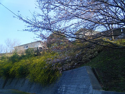 e0023643_2216640.jpg