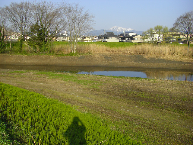 b0088444_20554237.jpg