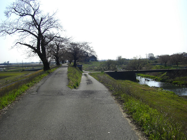 b0088444_2057083.jpg