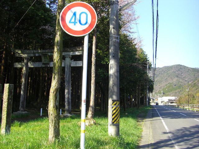 b0088444_20592285.jpg
