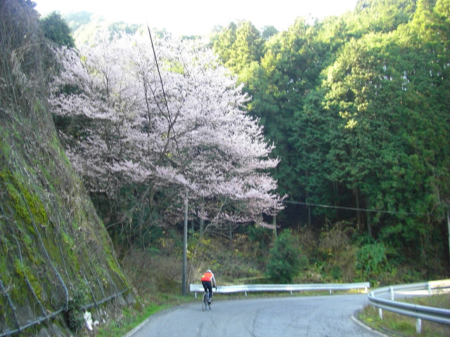b0088444_2104495.jpg