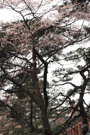 c0093046_761285.gif