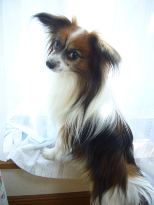 e0100046_22114352.jpg