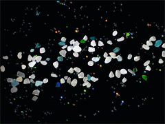 e0005548_21324649.gif