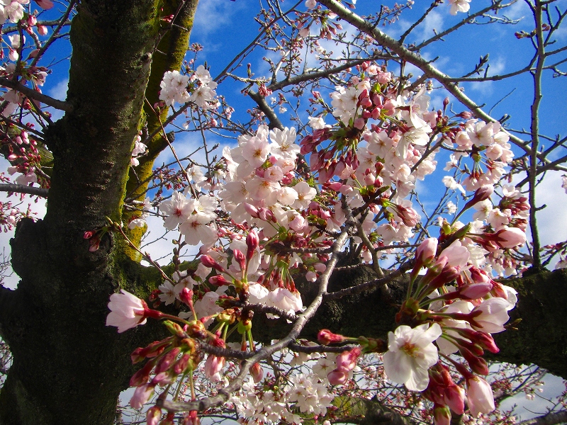 「山は天候が急変します」六甲山編_a0122149_22354342.jpg