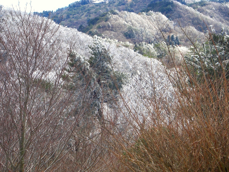 「山は天候が急変します」六甲山編_a0122149_23203591.jpg