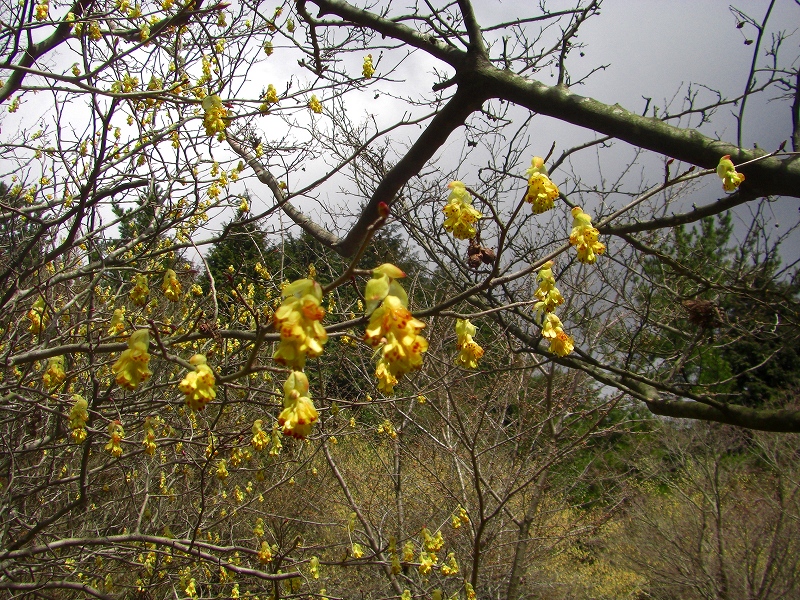 「山は天候が急変します」六甲山編_a0122149_236253.jpg