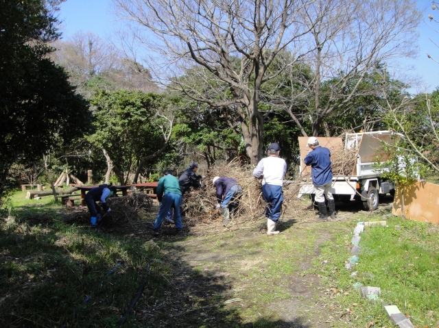 c0108460_1739280.jpg