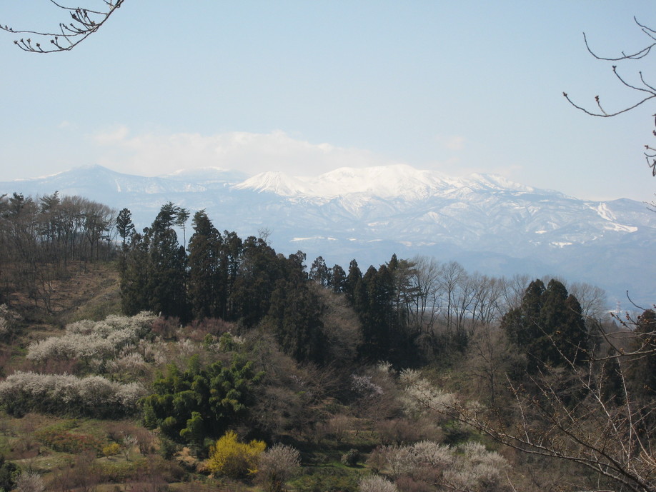 e0015964_230213.jpg