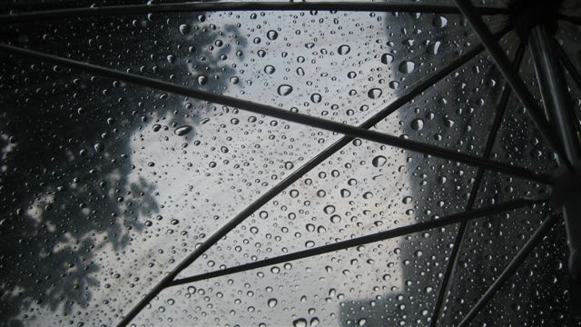 a0123465_151245.jpg
