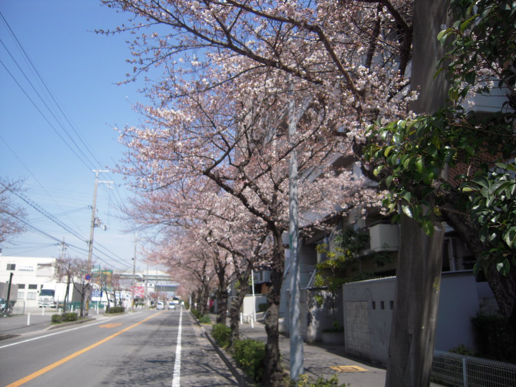 d0083265_175782.jpg