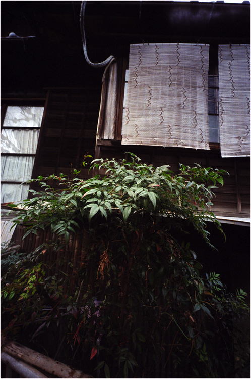 c0168172_2323845.jpg