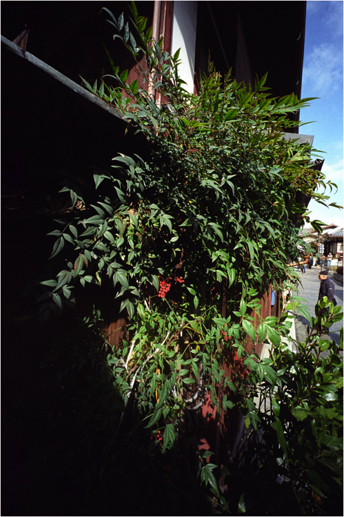 c0168172_2325922.jpg