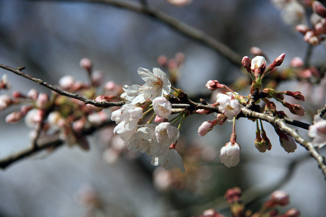 b0041473_1744230.jpg