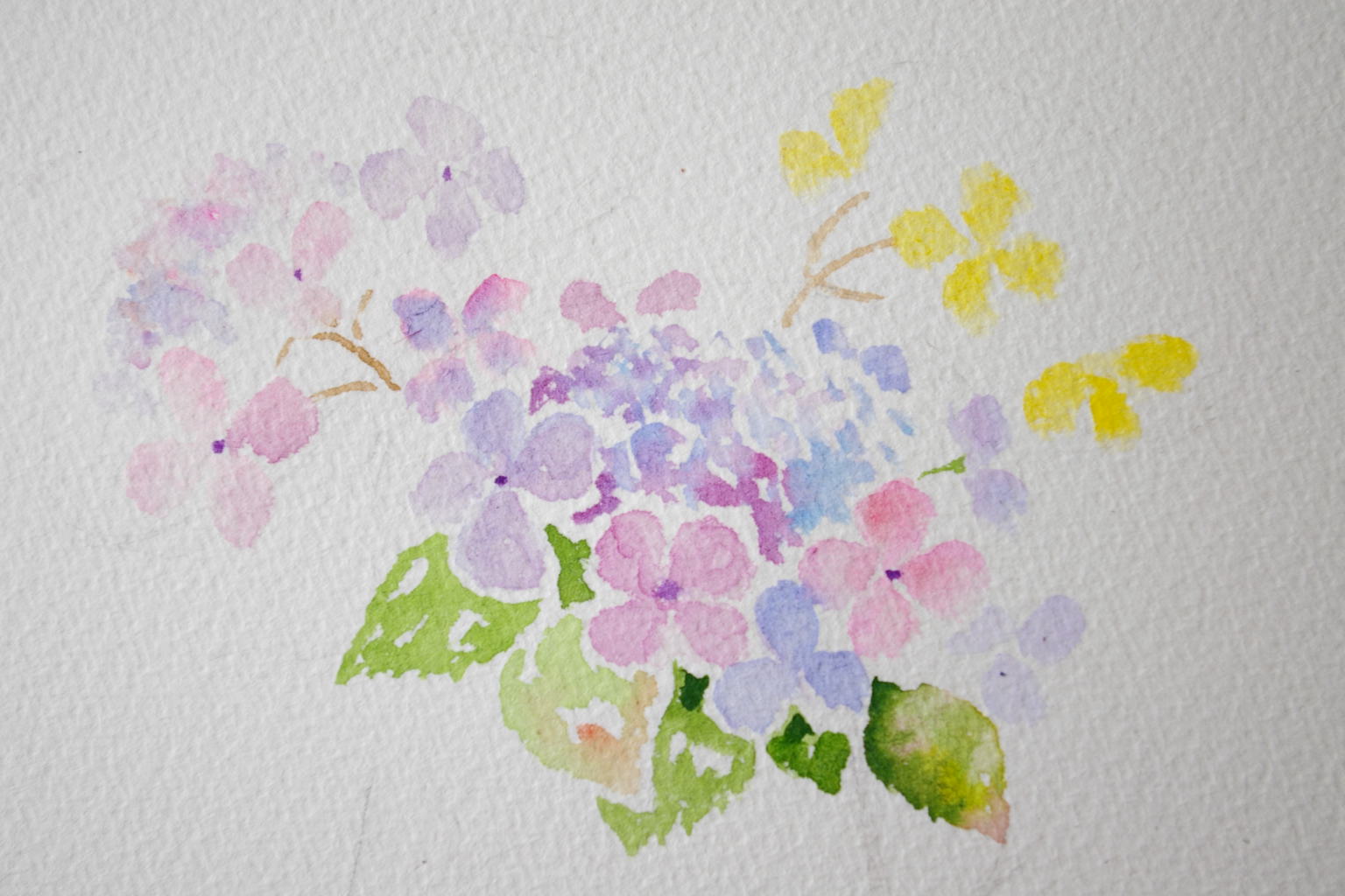 アジサイ 3 yosuke tanakaの水彩画の描き方 アジサイ 3 yosuke tanakaの水彩画の描き方