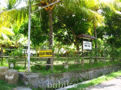 c0226974_957144.jpg