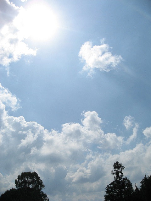 e0184077_15368.jpg