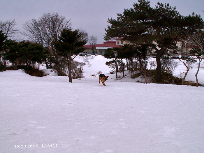 お泊り会の朝_f0067179_2127225.jpg