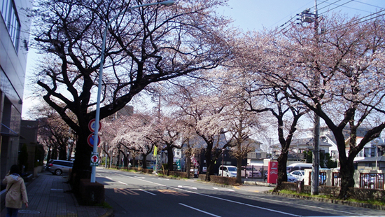 a0127781_23582616.jpg